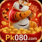 PK080 Game