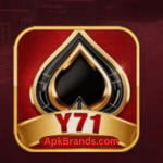 Y71 Game