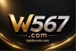 W567 Game