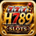H789 Game