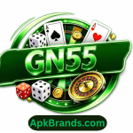 GN55 Game