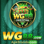 WG88 Game